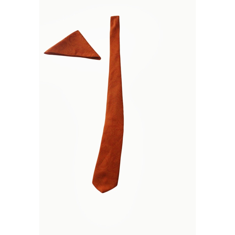Vesuvio Napoli Mens Burnt Orange Paisley Necktie and Pocket Square Set
